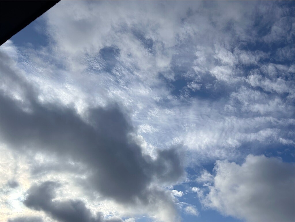 f:id:Magnoliarida:20240823083218j:image