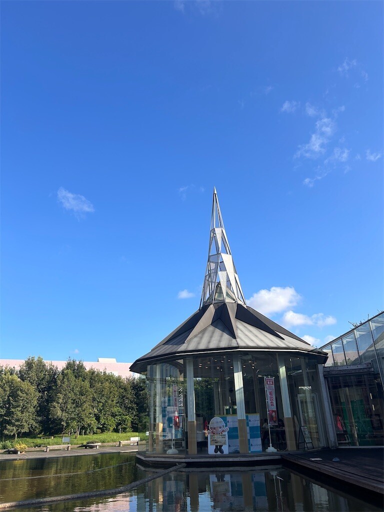 f:id:Magnoliarida:20240825222804j:image f:id:Magnoliarida:20240825222804j:image