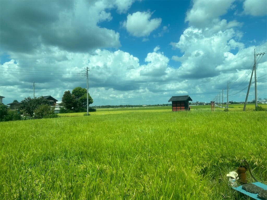 f:id:Magnoliarida:20240825223122j:image f:id:Magnoliarida:20240825223122j:image