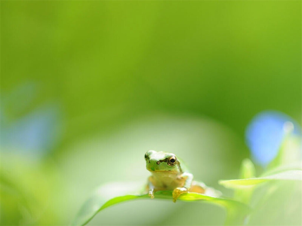 f:id:Magnoliarida:20240828082134j:image f:id:Magnoliarida:20240828082134j:image