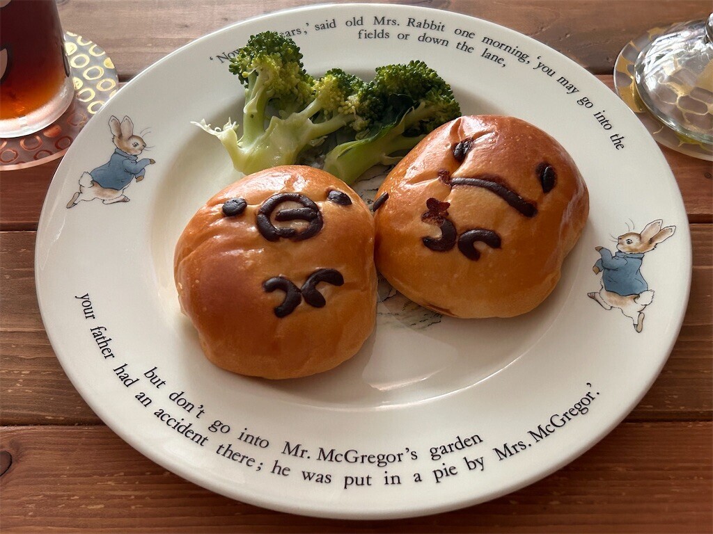 f:id:Magnoliarida:20240828091310j:image f:id:Magnoliarida:20240828091310j:image