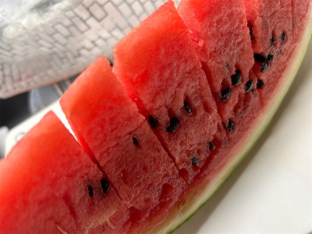 f:id:Magnoliarida:20240830095326j:image