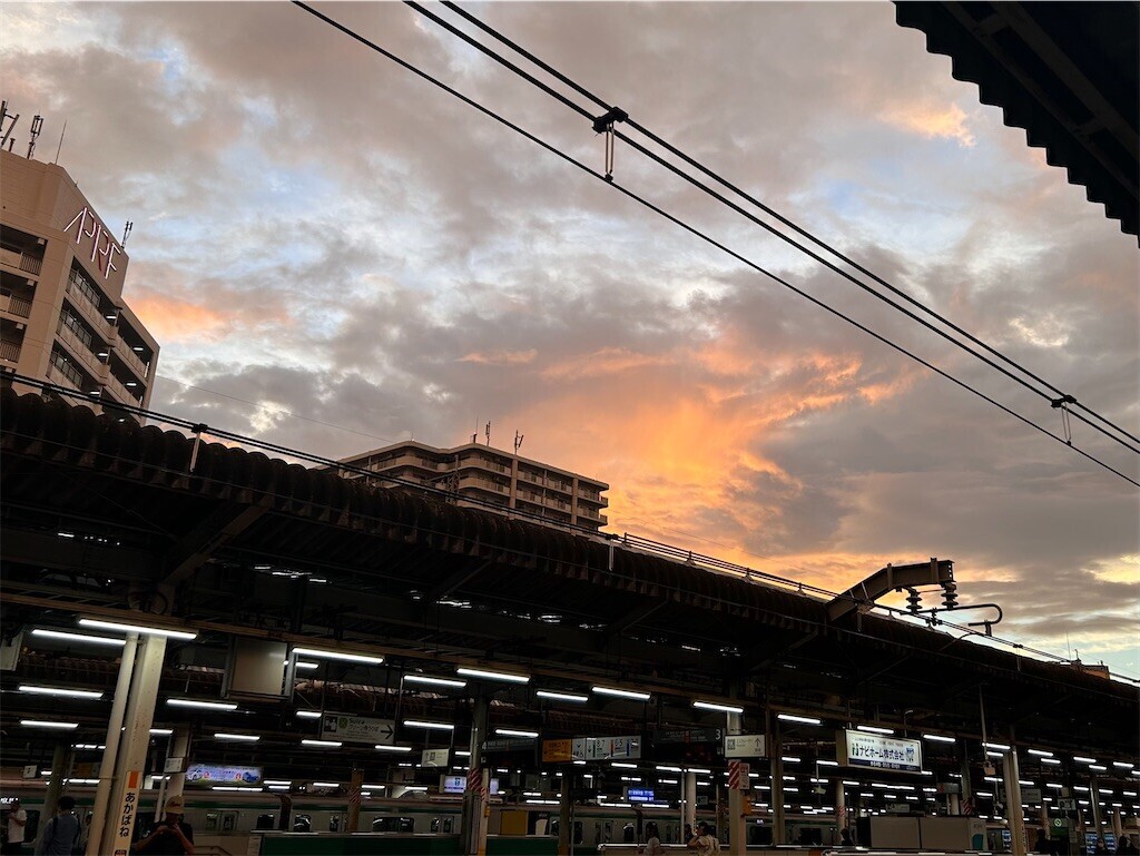 f:id:Magnoliarida:20240901213908j:image