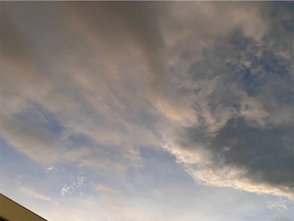 f:id:Magnoliarida:20240901213927j:image