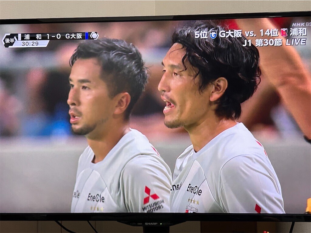 f:id:Magnoliarida:20240914212317j:image