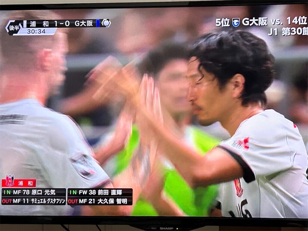 f:id:Magnoliarida:20240914212322j:image