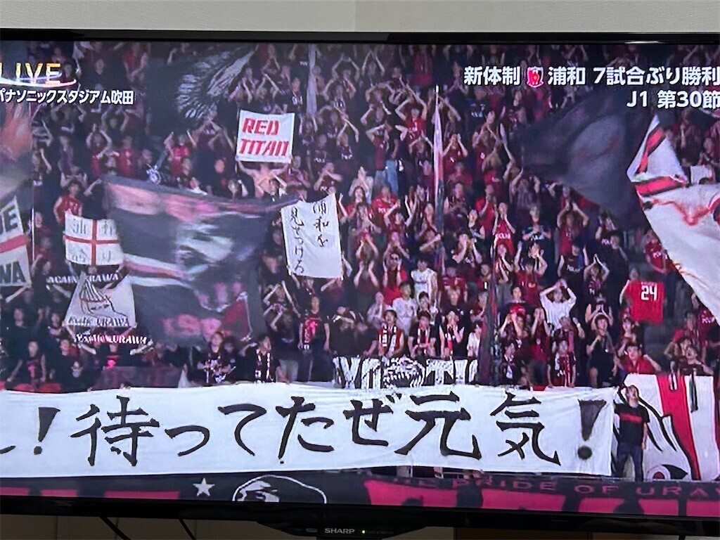 f:id:Magnoliarida:20240914213646j:image