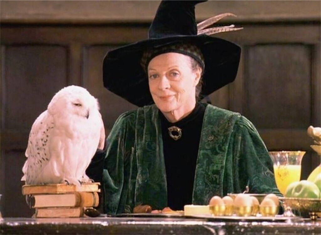 f:id:Magnoliarida:20240929104956j:image f:id:Magnoliarida:20240929104956j:image