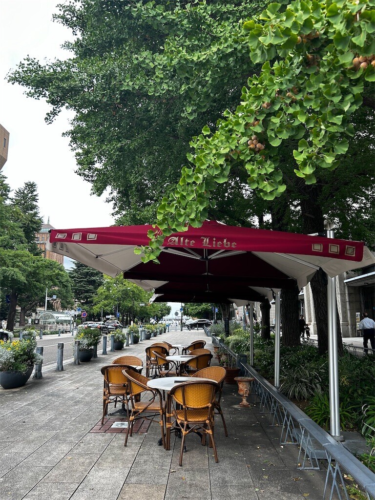 f:id:Magnoliarida:20240929215814j:image