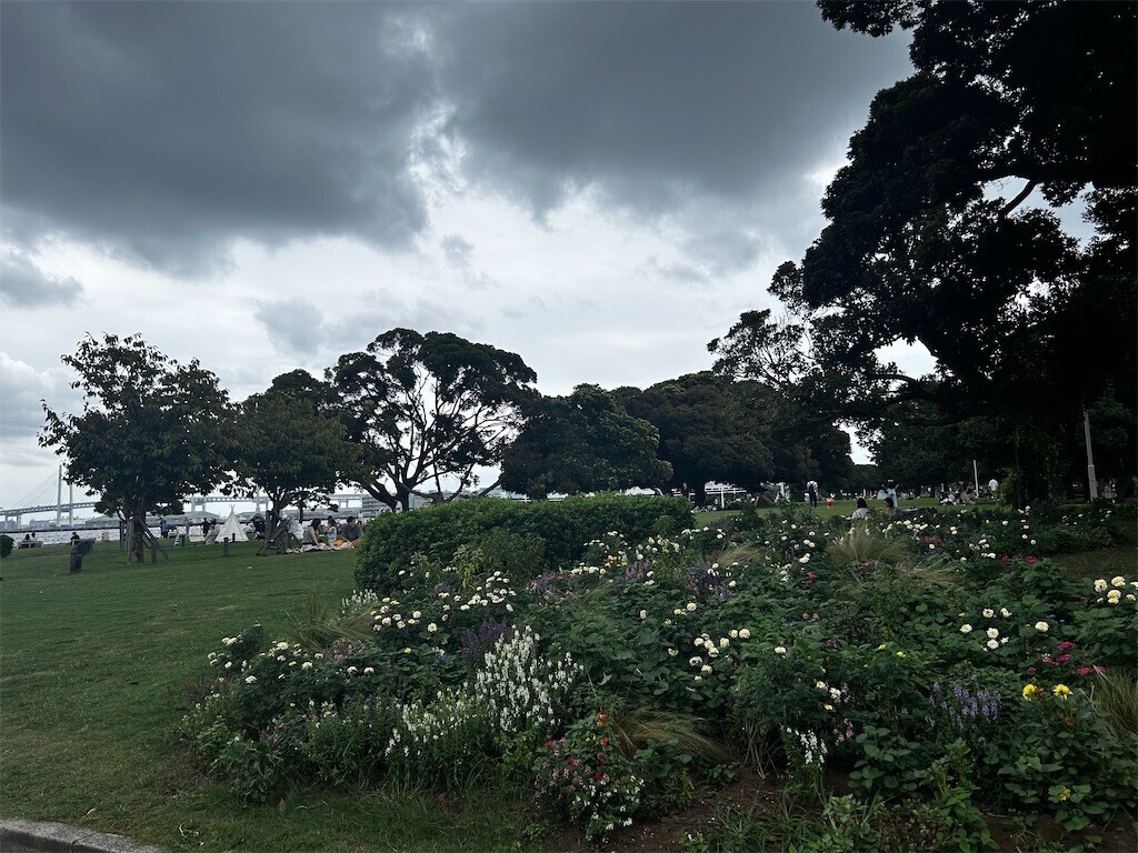 f:id:Magnoliarida:20240929215817j:image