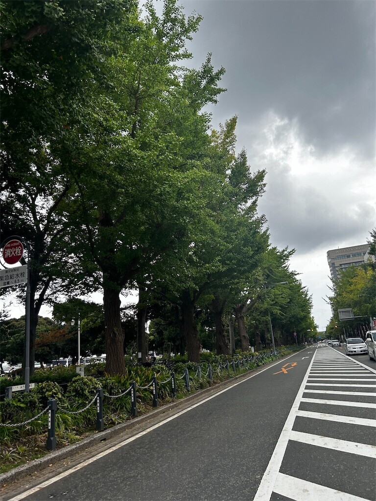 f:id:Magnoliarida:20240929215836j:image