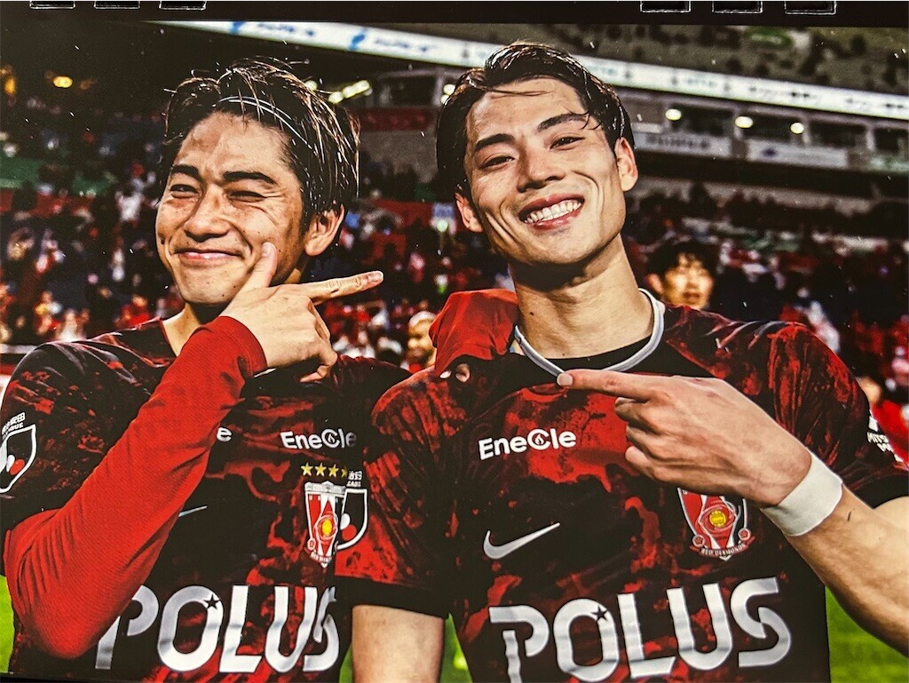 f:id:Magnoliarida:20241005230552j:image f:id:Magnoliarida:20241005230552j:image