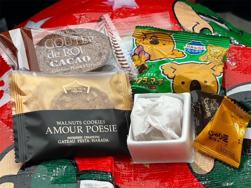 f:id:Magnoliarida:20241005231516j:image f:id:Magnoliarida:20241005231516j:image