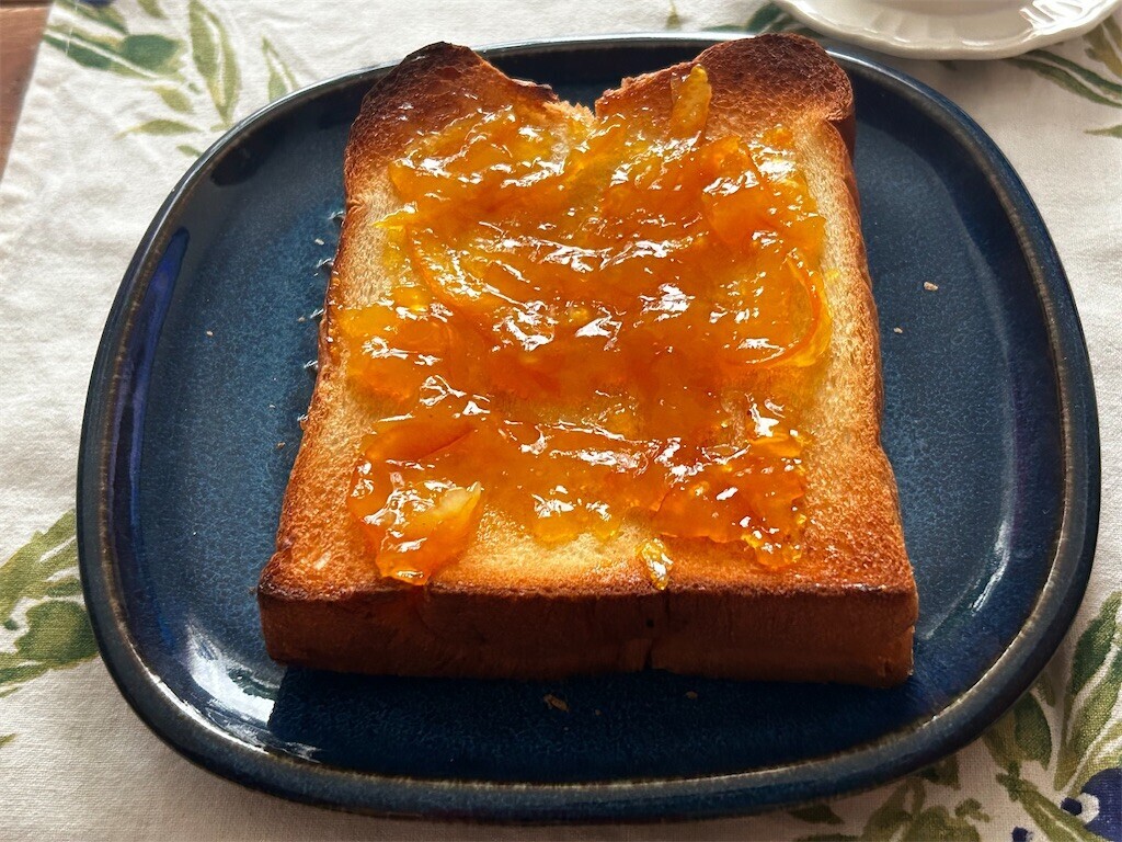 f:id:Magnoliarida:20241016073603j:image