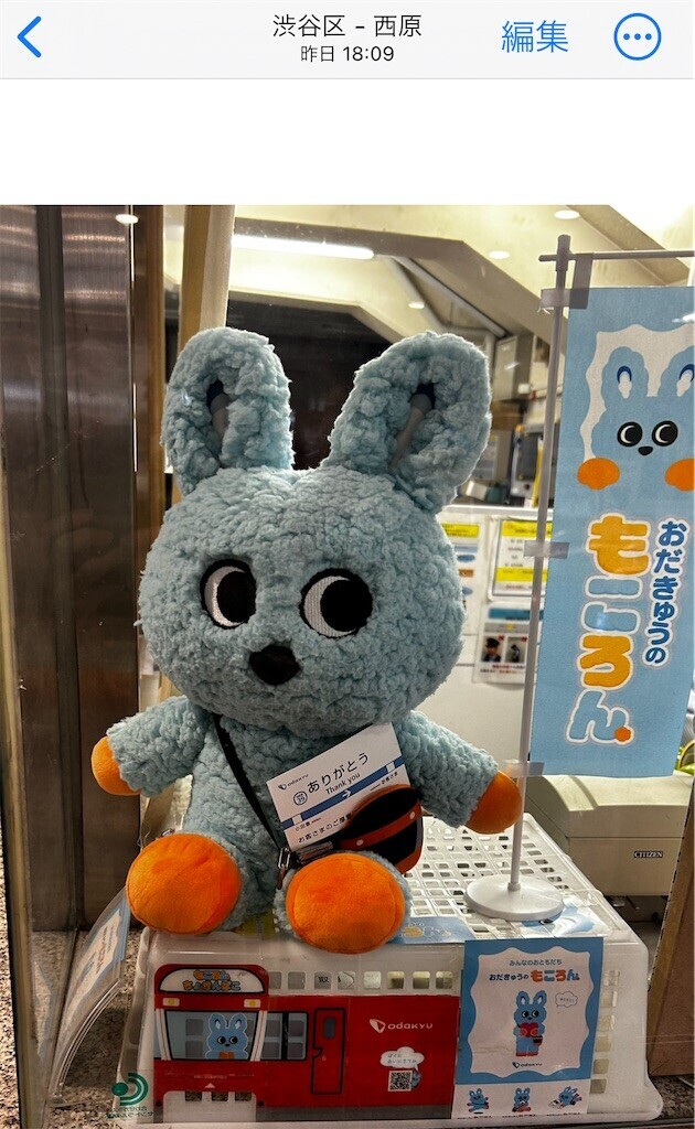 f:id:Magnoliarida:20241021101416j:image f:id:Magnoliarida:20241021101416j:image