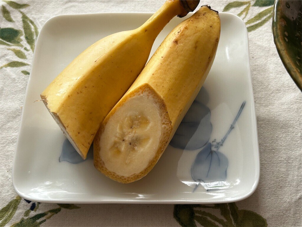 f:id:Magnoliarida:20241022082900j:image