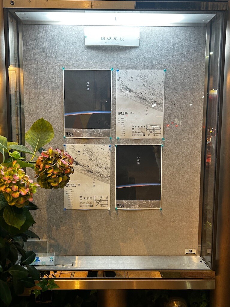 f:id:Magnoliarida:20241027074311j:image f:id:Magnoliarida:20241027074311j:image