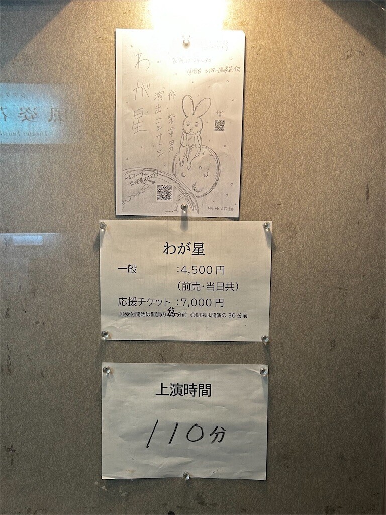 f:id:Magnoliarida:20241027074507j:image f:id:Magnoliarida:20241027074507j:image