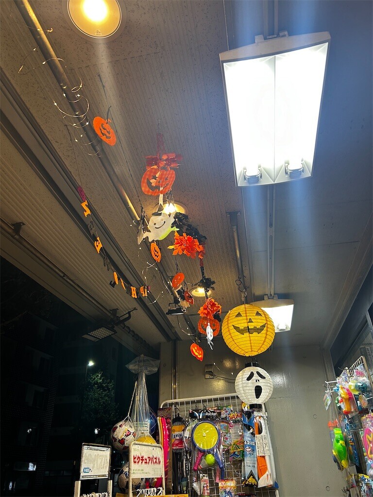 f:id:Magnoliarida:20241027074715j:image f:id:Magnoliarida:20241027074715j:image