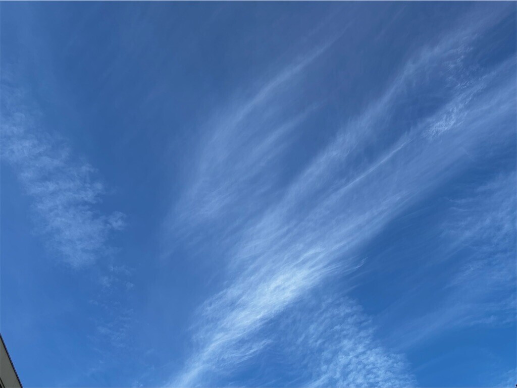 f:id:Magnoliarida:20241031084408j:image