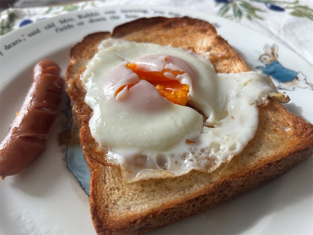 f:id:Magnoliarida:20241109095317j:image