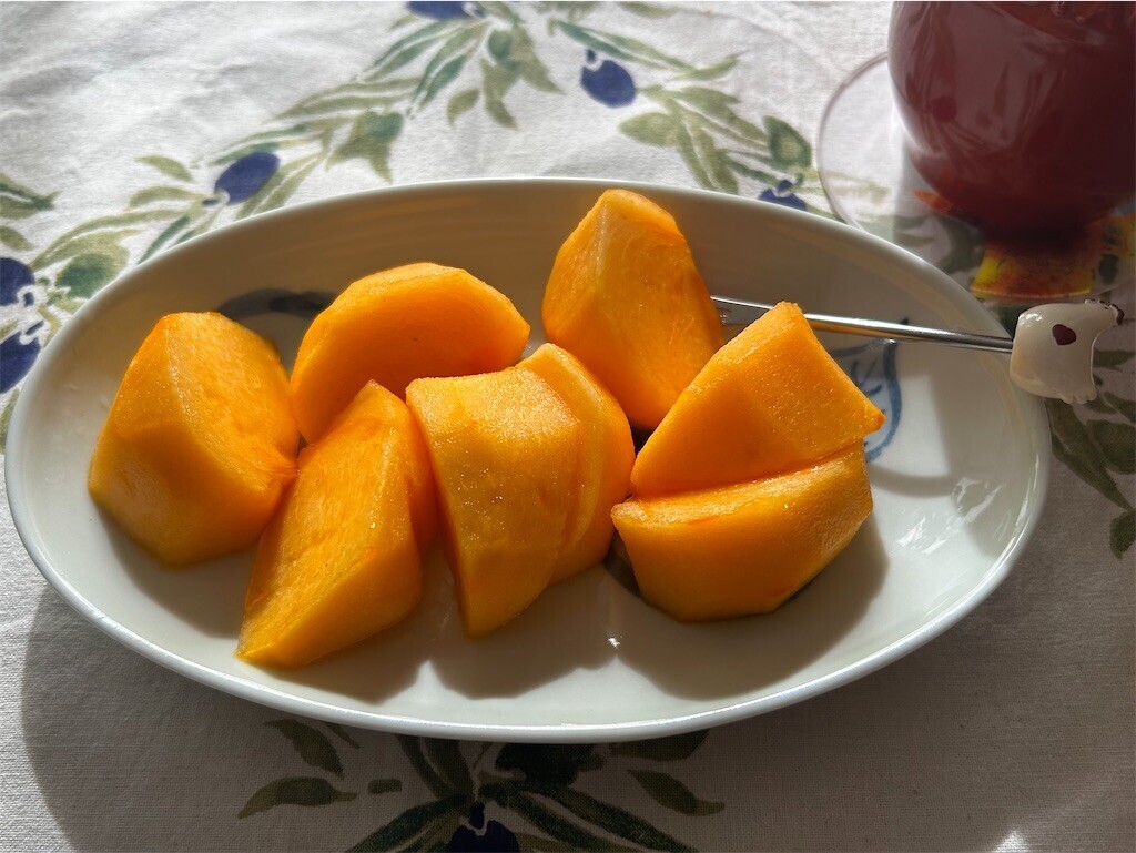 f:id:Magnoliarida:20241109095328j:image