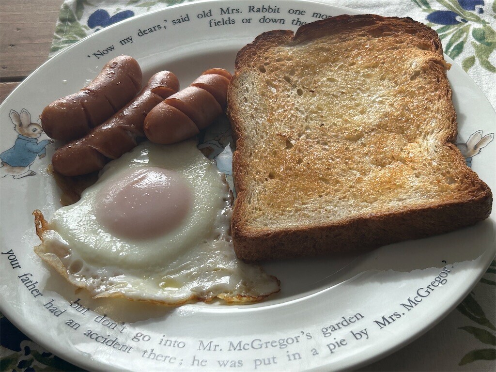 f:id:Magnoliarida:20241109095332j:image