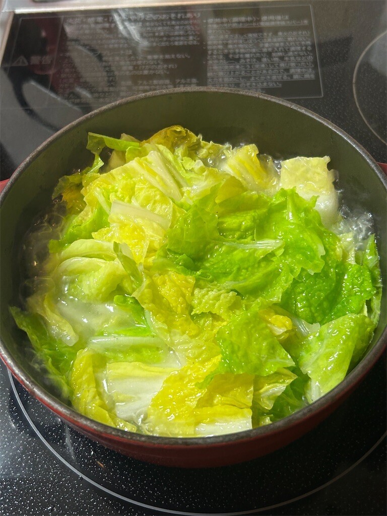 f:id:Magnoliarida:20241111083128j:image