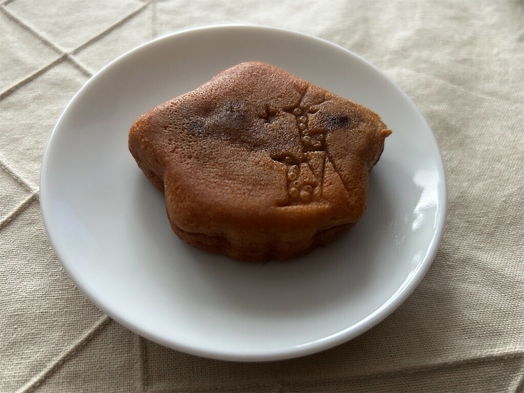 f:id:Magnoliarida:20241205073524j:image