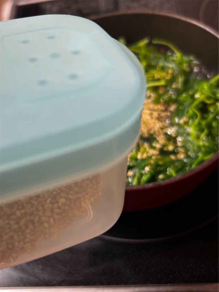 f:id:Magnoliarida:20241205073823j:image