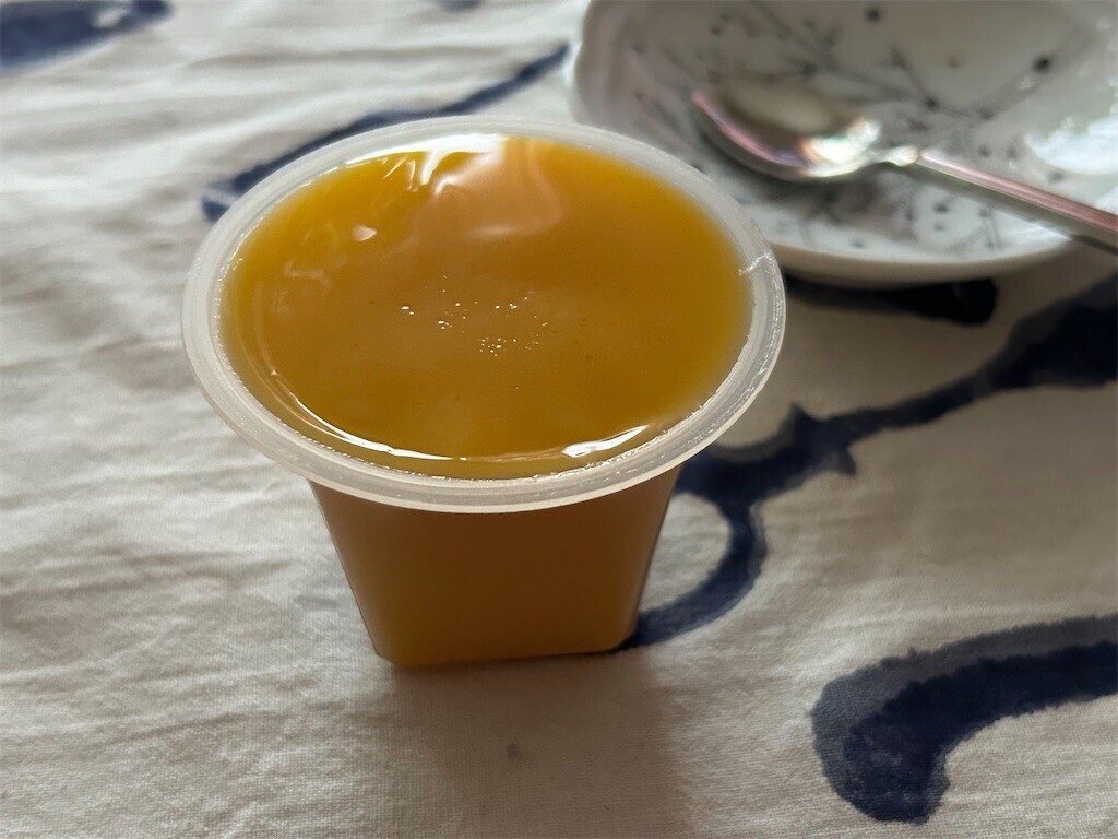 f:id:Magnoliarida:20241210081349j:image f:id:Magnoliarida:20241210081349j:image