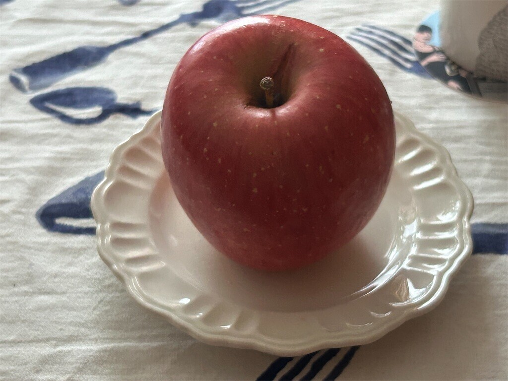 f:id:Magnoliarida:20241210081352j:image f:id:Magnoliarida:20241210081352j:image