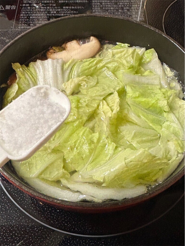 f:id:Magnoliarida:20241210081452j:image f:id:Magnoliarida:20241210081452j:image