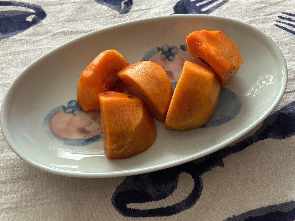 f:id:Magnoliarida:20241211083046j:image