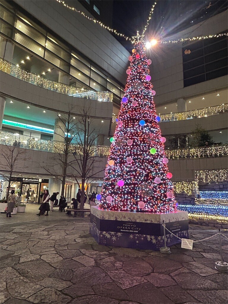 f:id:Magnoliarida:20241211133349j:image