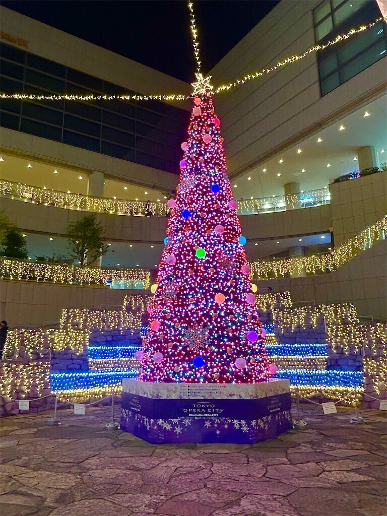 f:id:Magnoliarida:20241211133716j:image