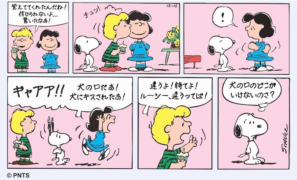 f:id:Magnoliarida:20241216204210j:image