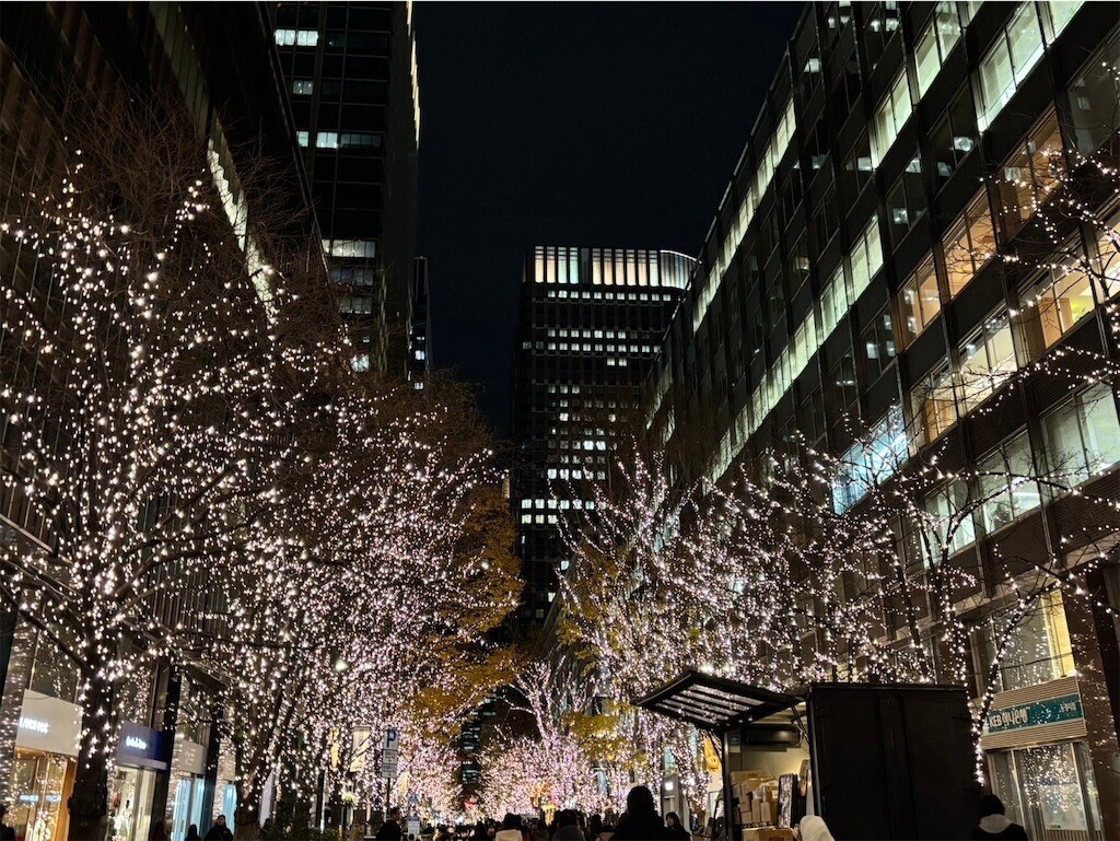 f:id:Magnoliarida:20241221080931j:image f:id:Magnoliarida:20241221080931j:image