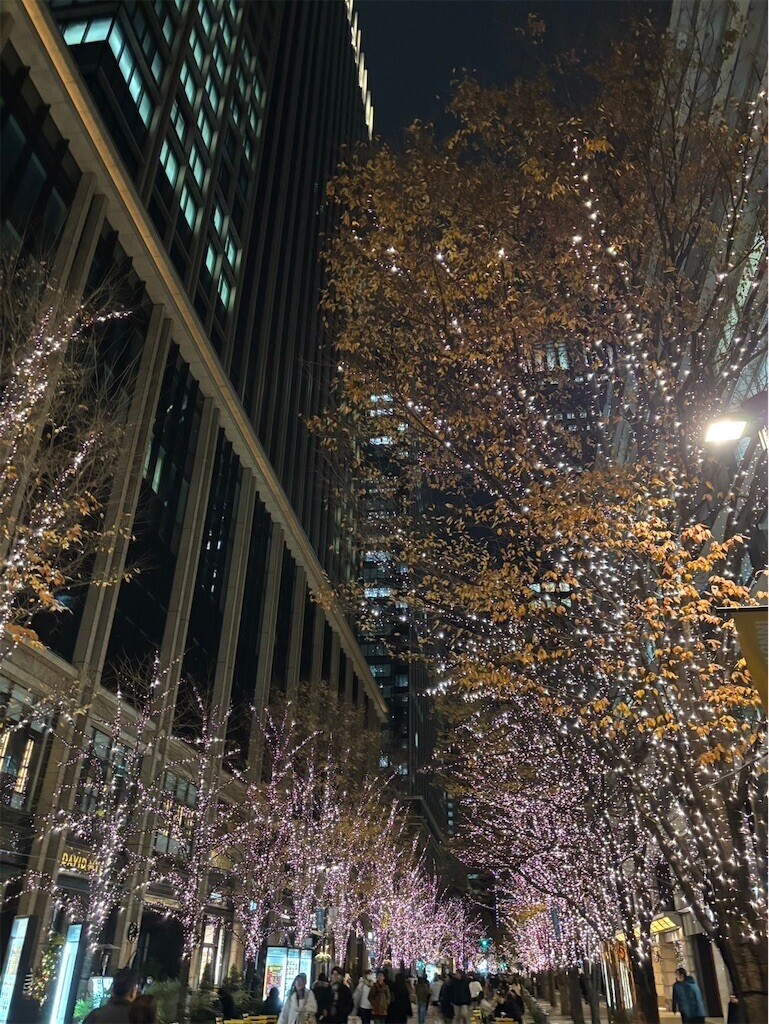 f:id:Magnoliarida:20241221080954j:image f:id:Magnoliarida:20241221080954j:image