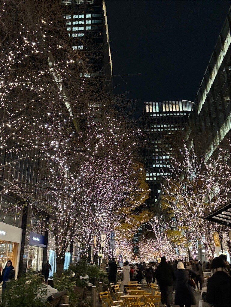 f:id:Magnoliarida:20241221080959j:image f:id:Magnoliarida:20241221080959j:image