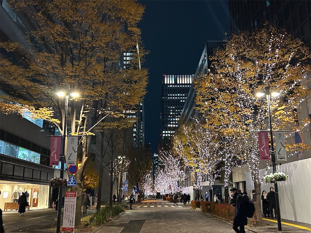 f:id:Magnoliarida:20241221081100j:image f:id:Magnoliarida:20241221081100j:image