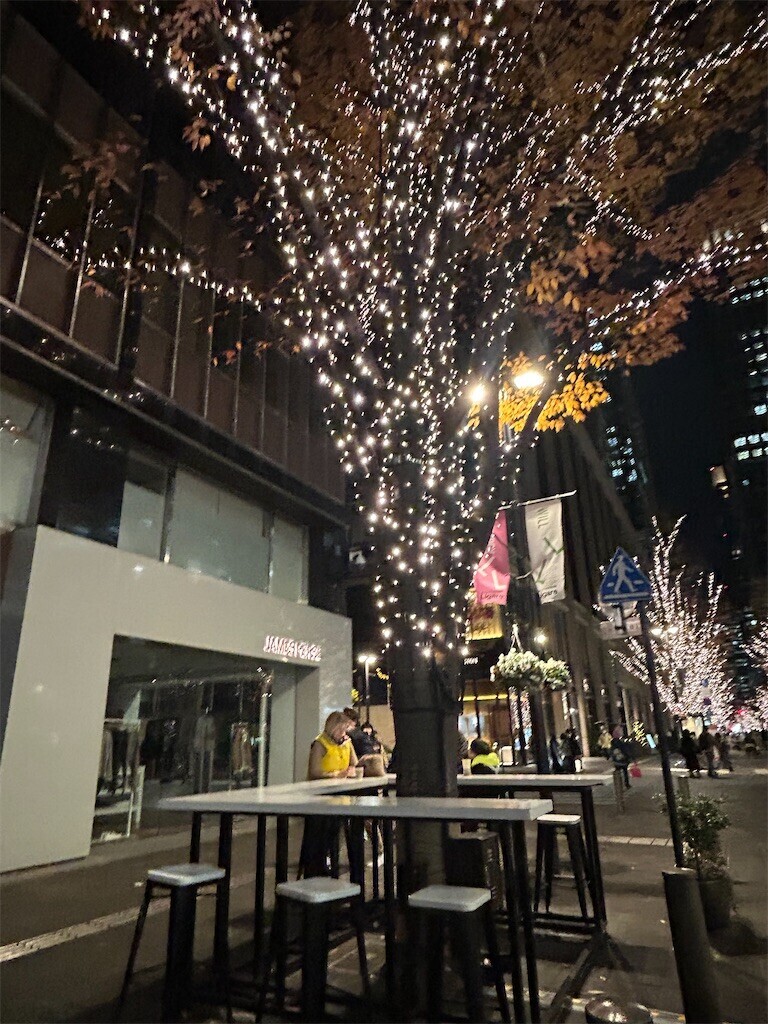 f:id:Magnoliarida:20241221081107j:image f:id:Magnoliarida:20241221081107j:image