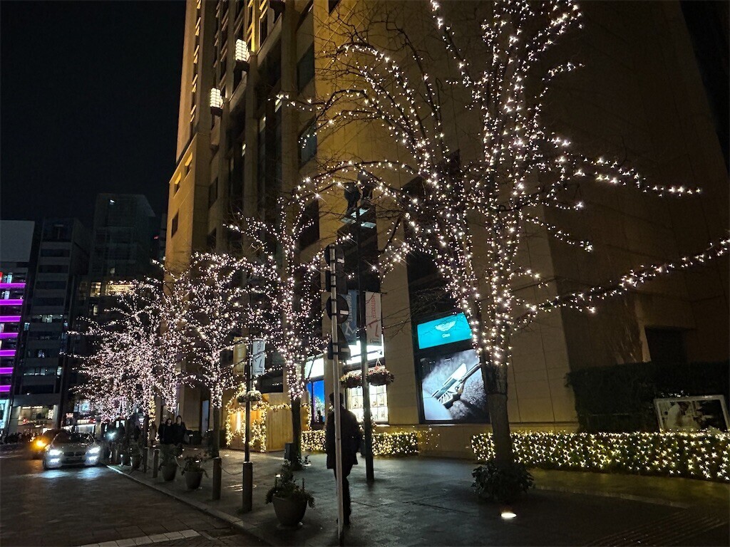 f:id:Magnoliarida:20241221081114j:image f:id:Magnoliarida:20241221081114j:image