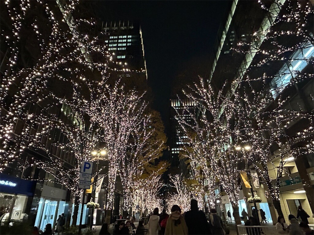 f:id:Magnoliarida:20241221081118j:image f:id:Magnoliarida:20241221081118j:image