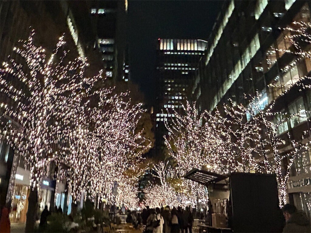 f:id:Magnoliarida:20241221081122j:image f:id:Magnoliarida:20241221081122j:image