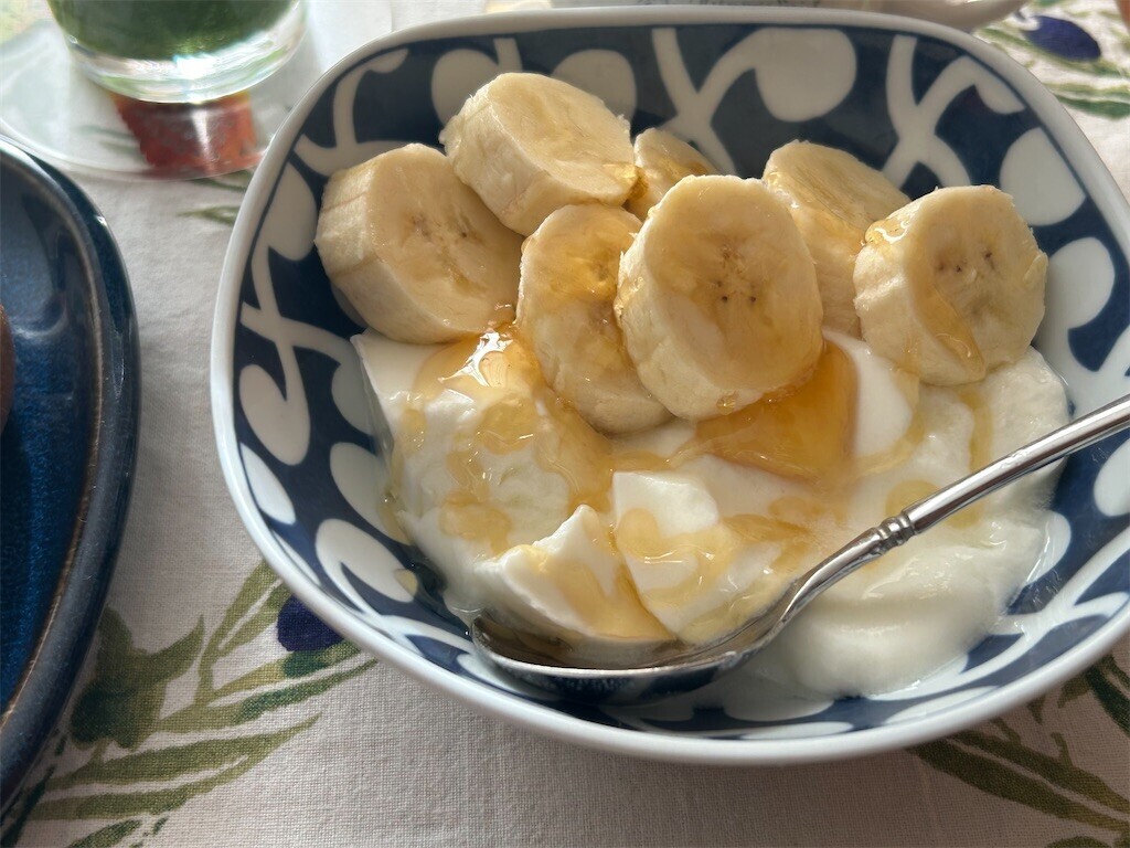 f:id:Magnoliarida:20241229095012j:image f:id:Magnoliarida:20241229095012j:image