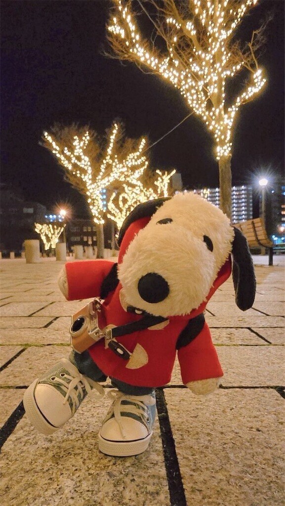 f:id:Magnoliarida:20241230162917j:image f:id:Magnoliarida:20241230162917j:image