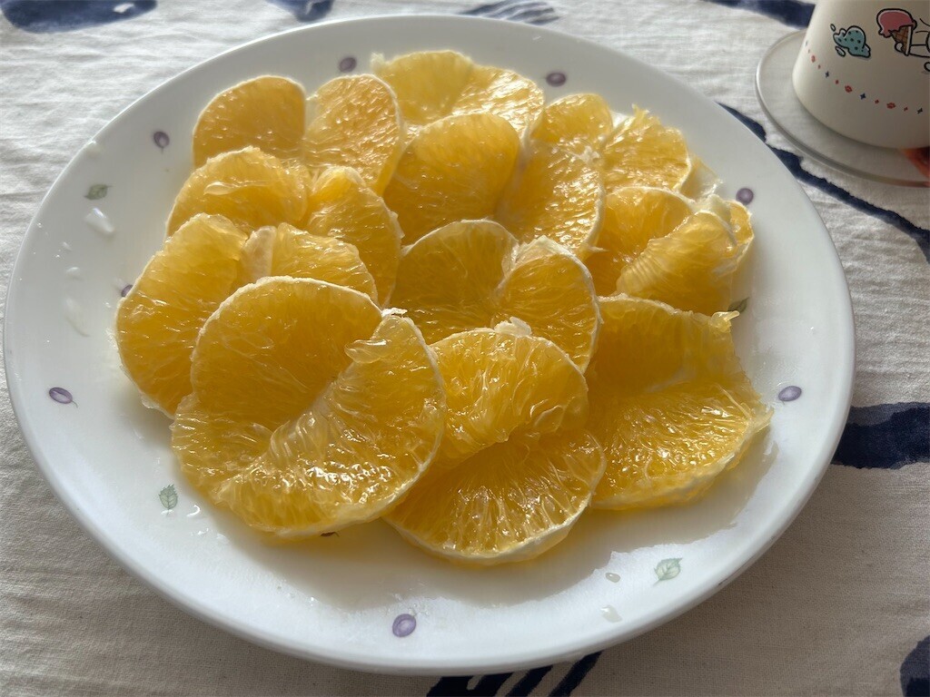 f:id:Magnoliarida:20250118154439j:image