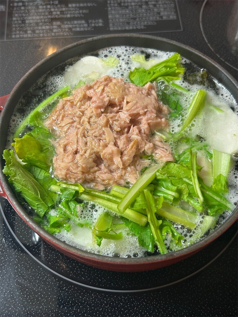 f:id:Magnoliarida:20250207083138j:image