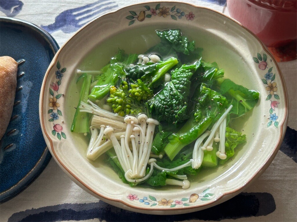 f:id:Magnoliarida:20250208095046j:image f:id:Magnoliarida:20250208095046j:image